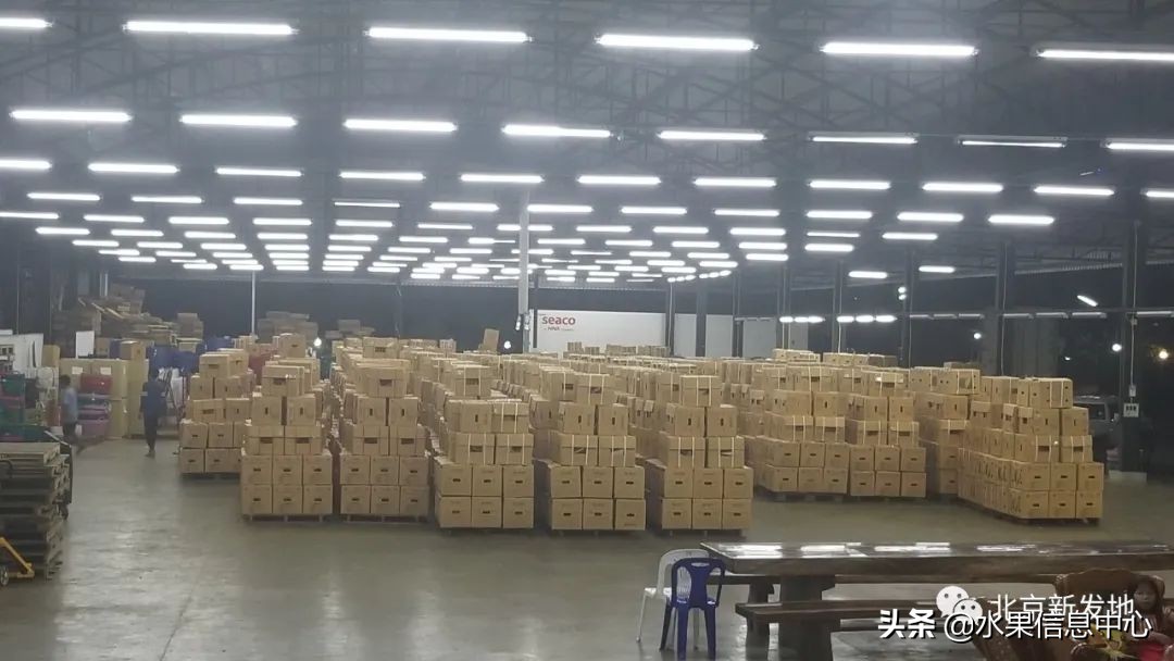 水果大王们生意经,水果生意经