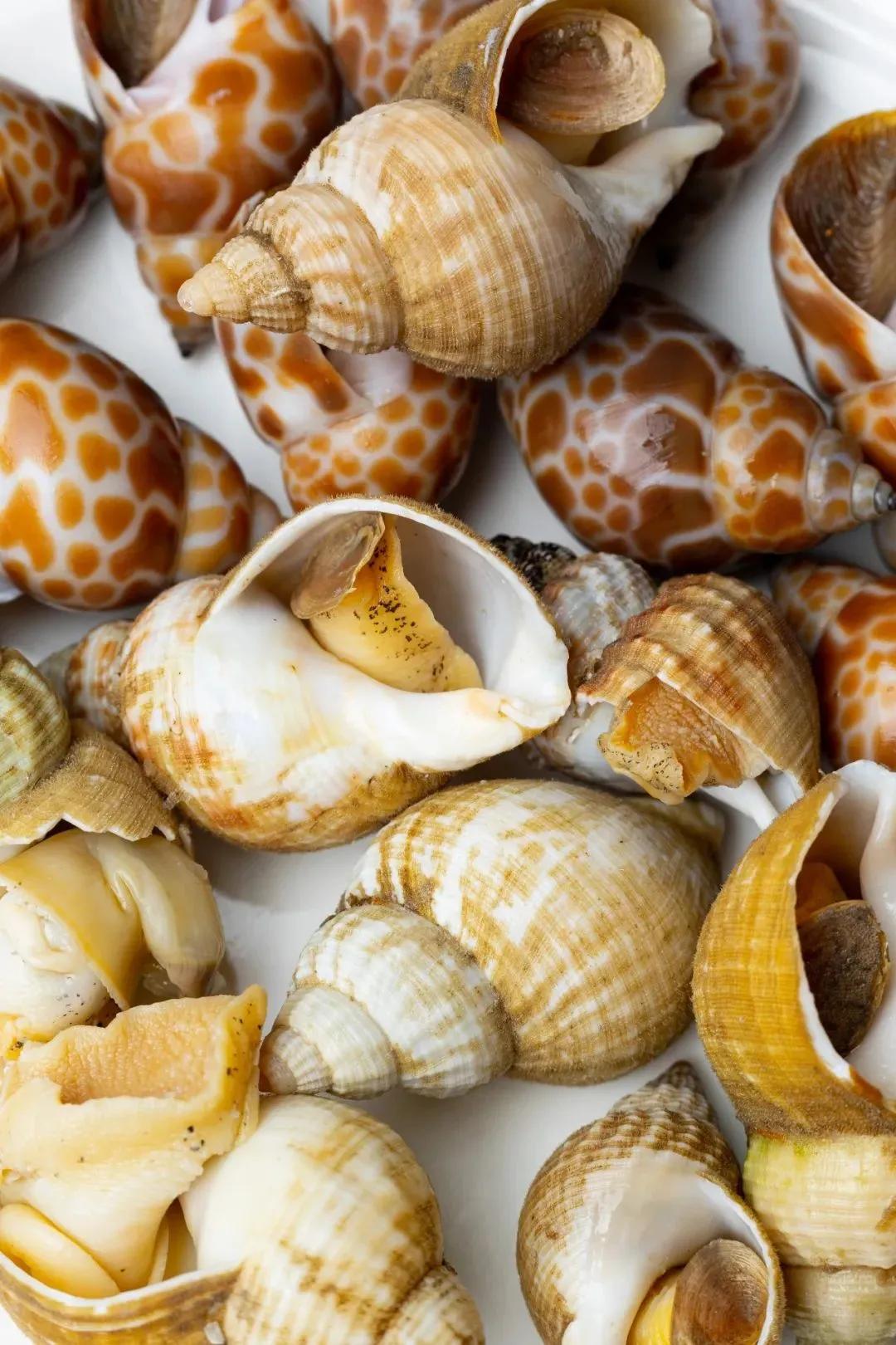 11.11在深圳享“摩登生活”