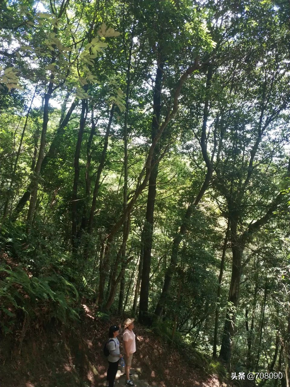 避暑避寒推荐,姬岩风景区