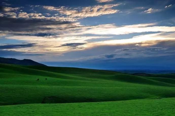 梵高画不出的向日葵,梵高画中的风景