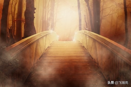 直通车运营本质有哪些,直通车拉搜索流量本质