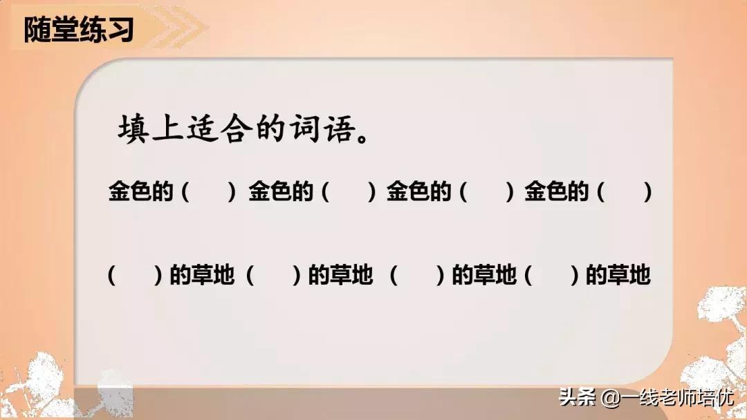三年级语文金色的草地展现了什么,语文三年级上金色的草地课文讲解