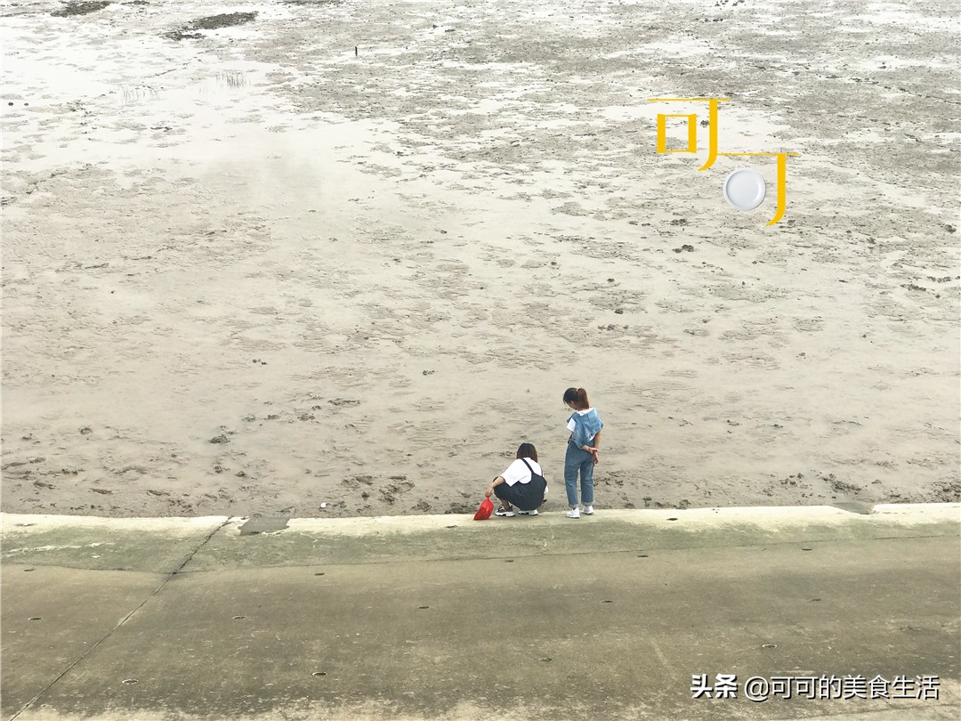 嘉兴平湖旅游莫氏庄园,平湖市莫氏庄园旅游