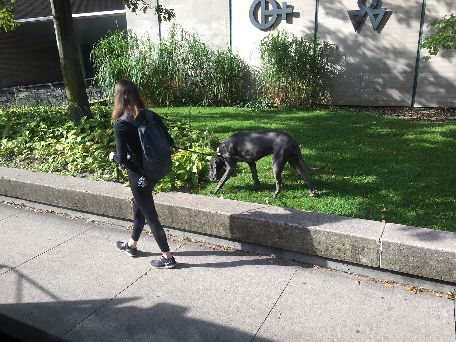 国外留学如何淘宝,外国留学生如何淘宝