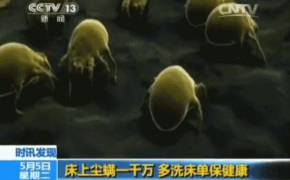 好物分享：居家小神器，提高你的生活幸福感