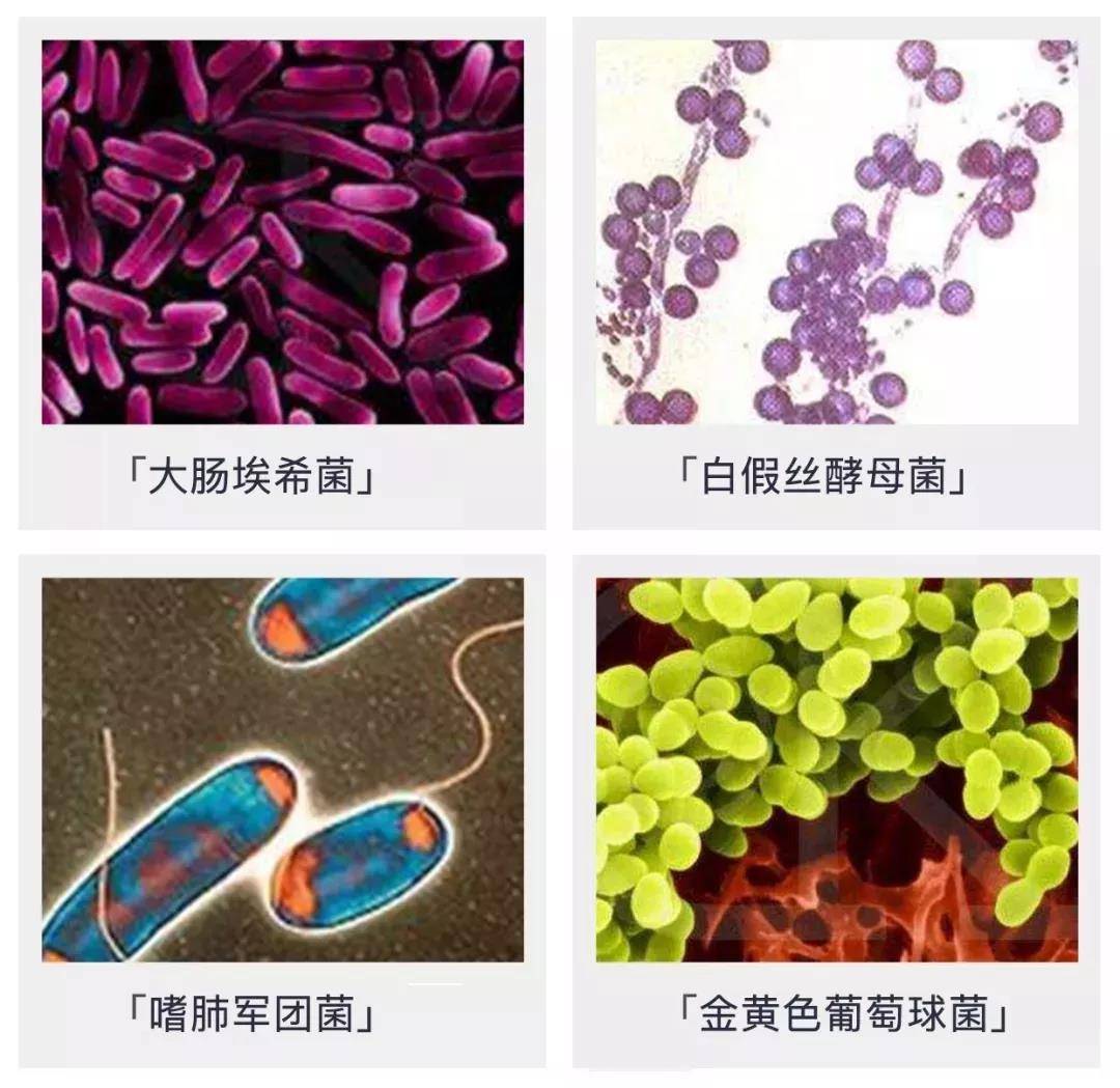 半年没用的空调不吹热风,半年没开的空调直接用会生病吗