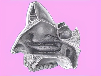 一直流鼻涕怎么止住,儿童流鼻涕怎么快速止住