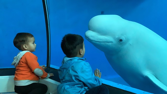 台湾环岛8日自由行详细攻略,台湾八天自由行环岛攻略