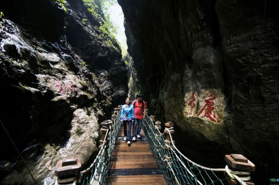 重庆避暑黑山谷,重庆万盛黑山谷生态旅游区
