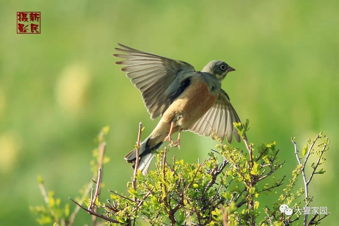 带娃的日子有滋有味,为什么别人的日子过得有滋有味儿
