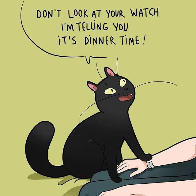 沙雕猫片，笑到床塌！自从做了卑微的铲屎官，比一个人时刺激多了