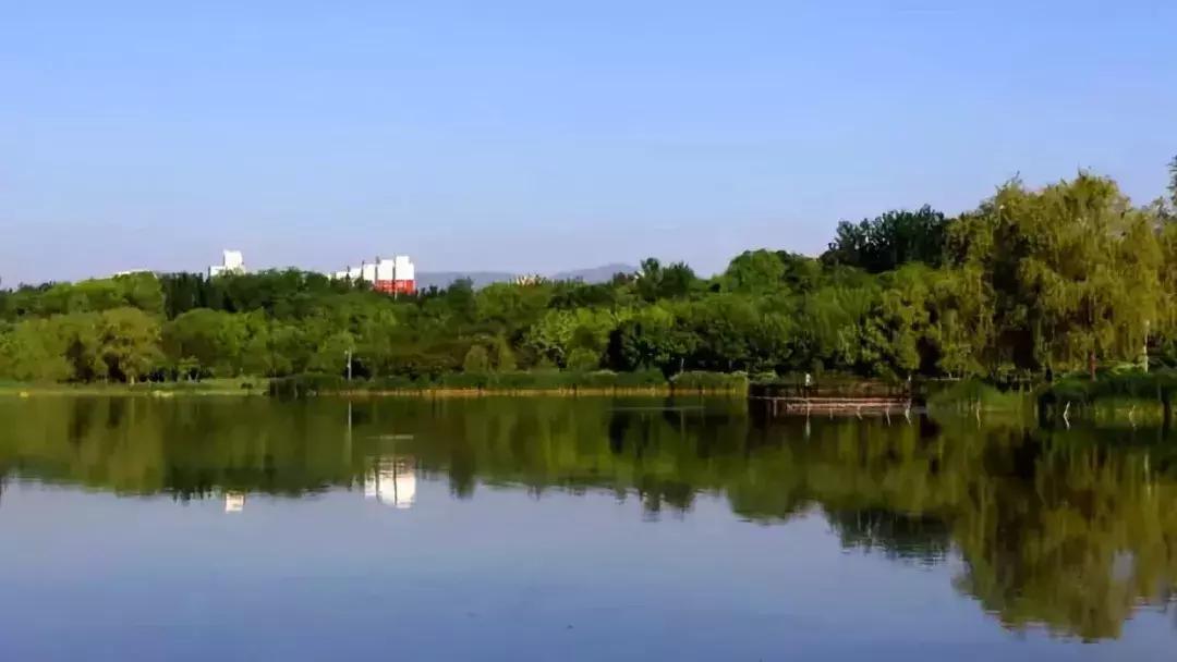 北京小众湿地公园免费,北京周边湿地公园