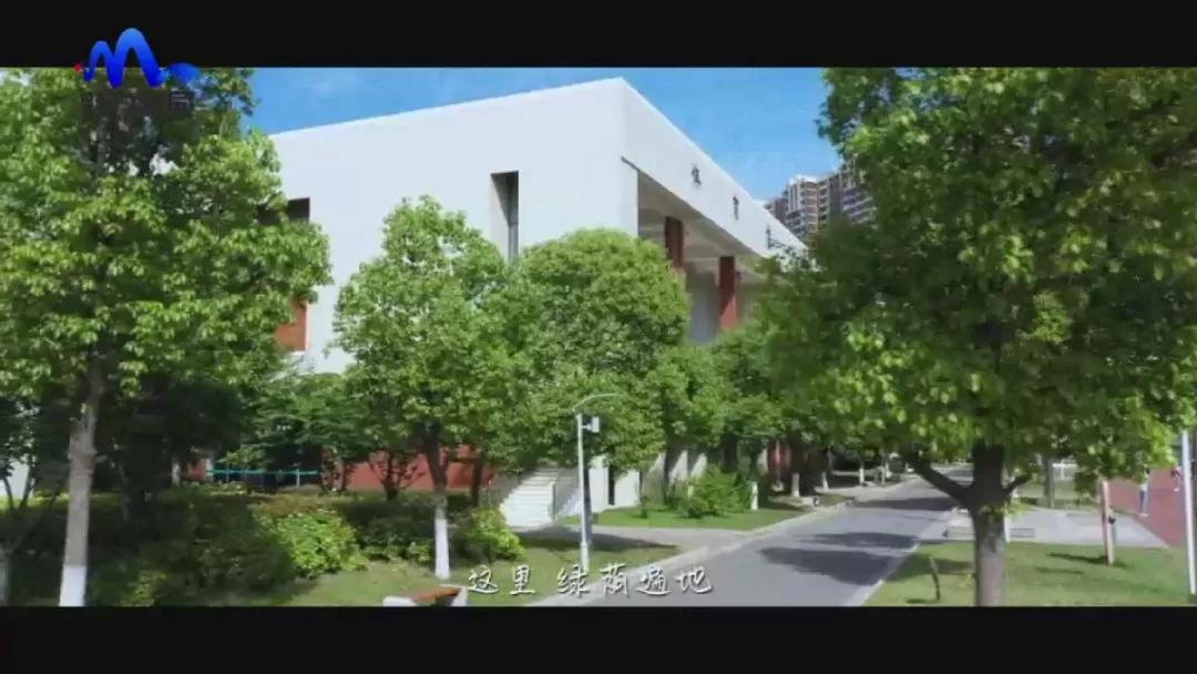 专题片|《涂亮孩子生命的底色》——南京市北京东路小学棠城分校