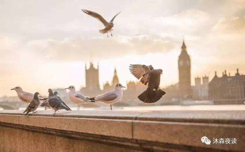愿你眼中写满故事脸上却不见风霜,一个女人真正的成熟在经历磨难