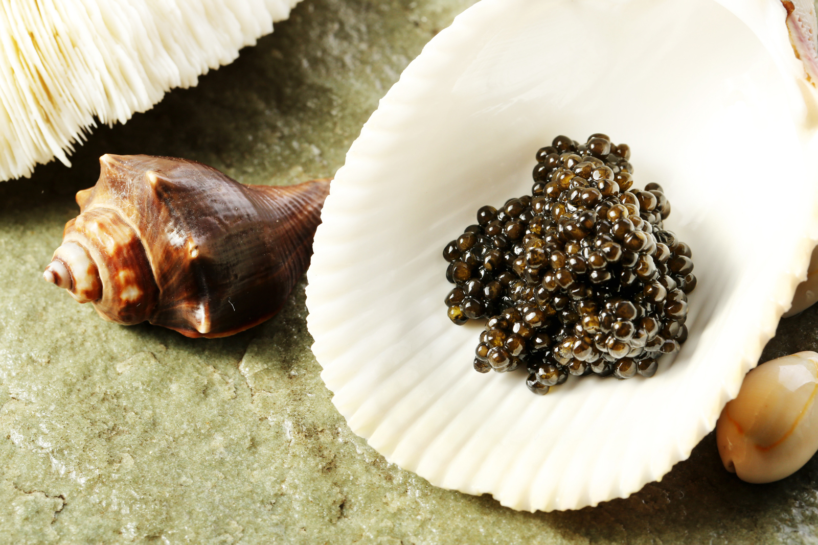 怎么在网上买鱼子酱,中国鱼子酱怎么选