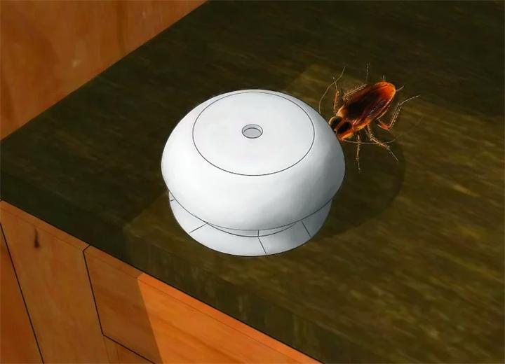 家里蟑螂太多怎么能彻底清除蟑螂,家里蟑螂多如何灭蟑螂