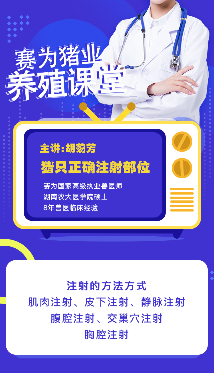 养猪不发烧的小妙招,养猪怎么打针不跑