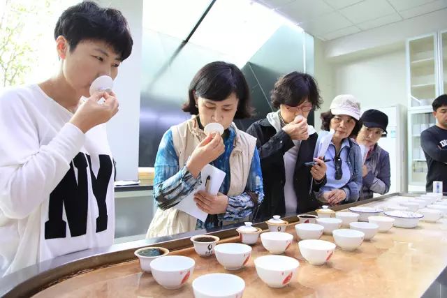 全国十大名茶旅游地,中国十大茶旅