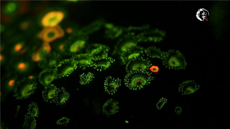 当贝超级盒子h1深度评测,当贝超级盒子h1评测视频