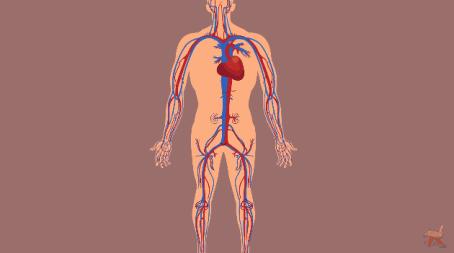 酱油清肠,避孕药洗头,这些自杀式养生为什么总有人信?