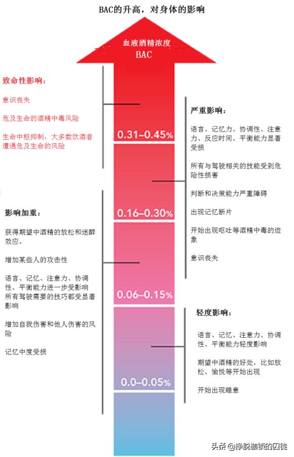 喝酒真的能喝死人么,喝酒能直接导致死亡吗
