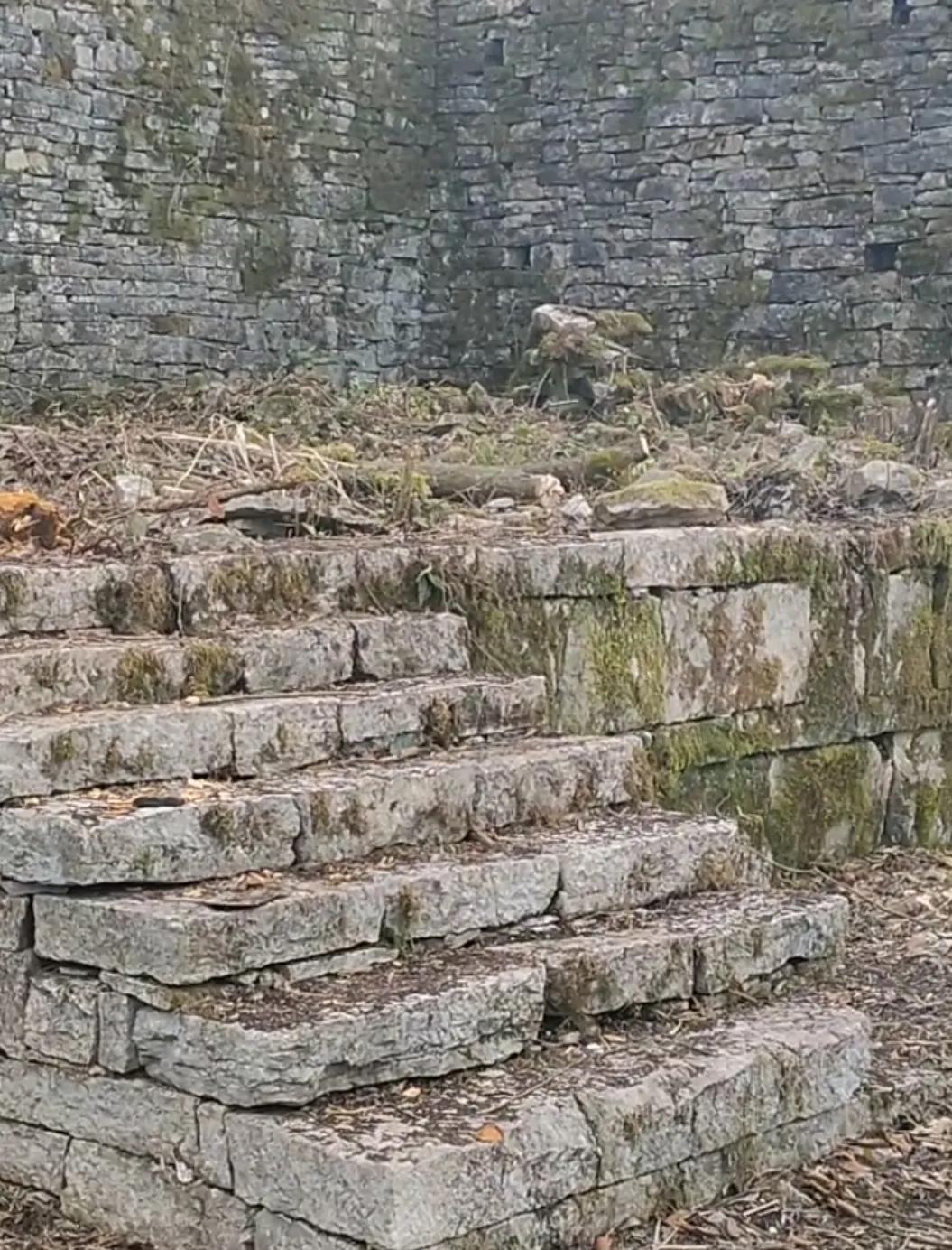 再登井冈山,再登黄山之巅