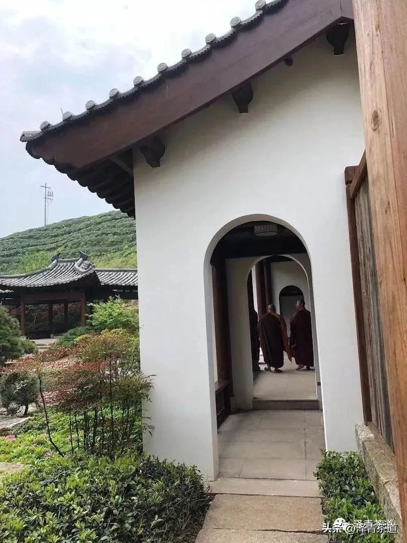 “自古名寺出名茶”，什么样的茶才能称为禅茶呢？