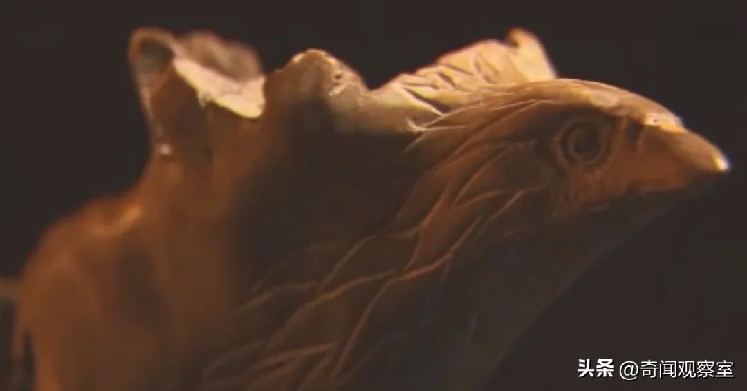 *底卧**与杀手的惊险对碰，热播美剧《BlackBird》背后的真实故事