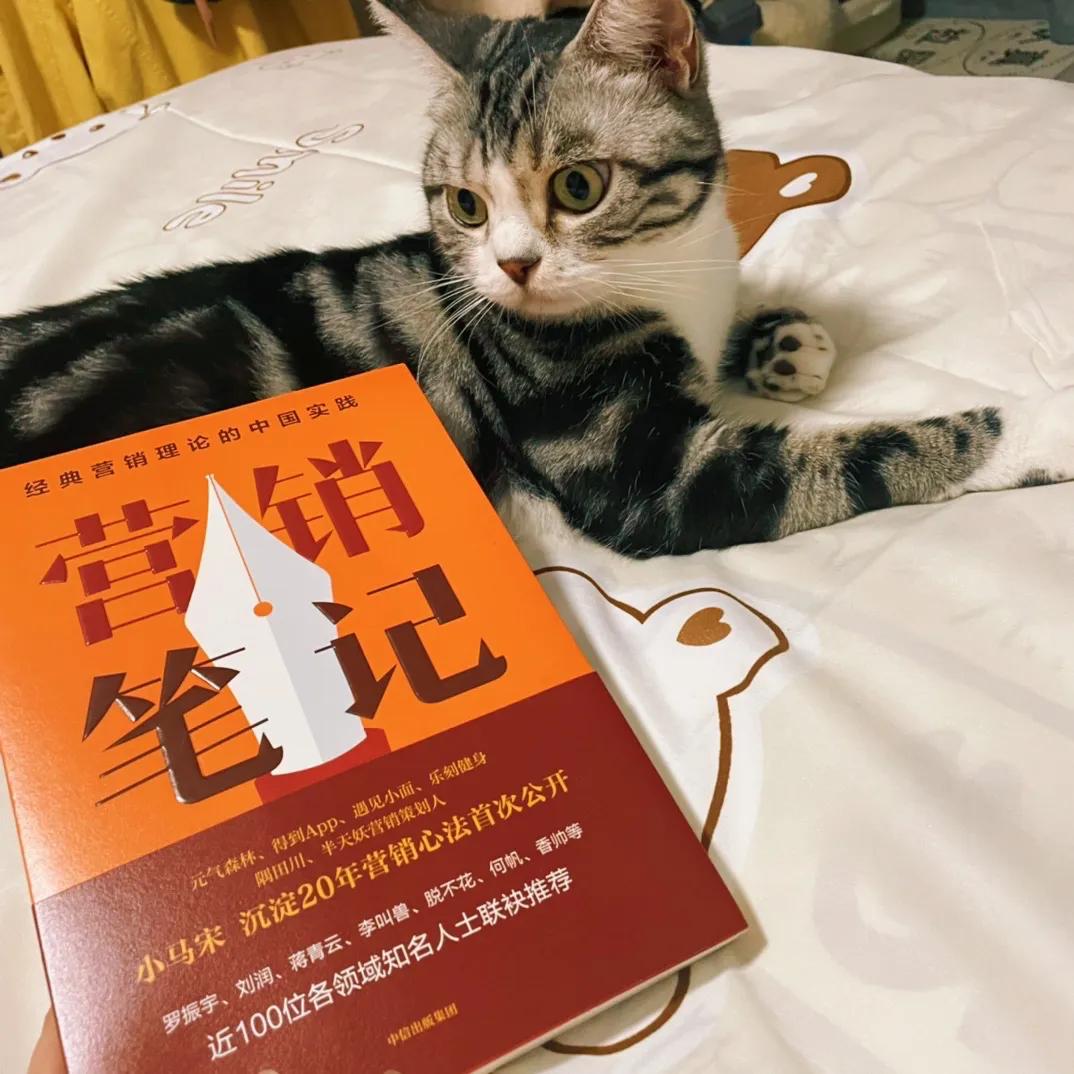 7句经典脑白金广告词大全,脑白金广告词的分析