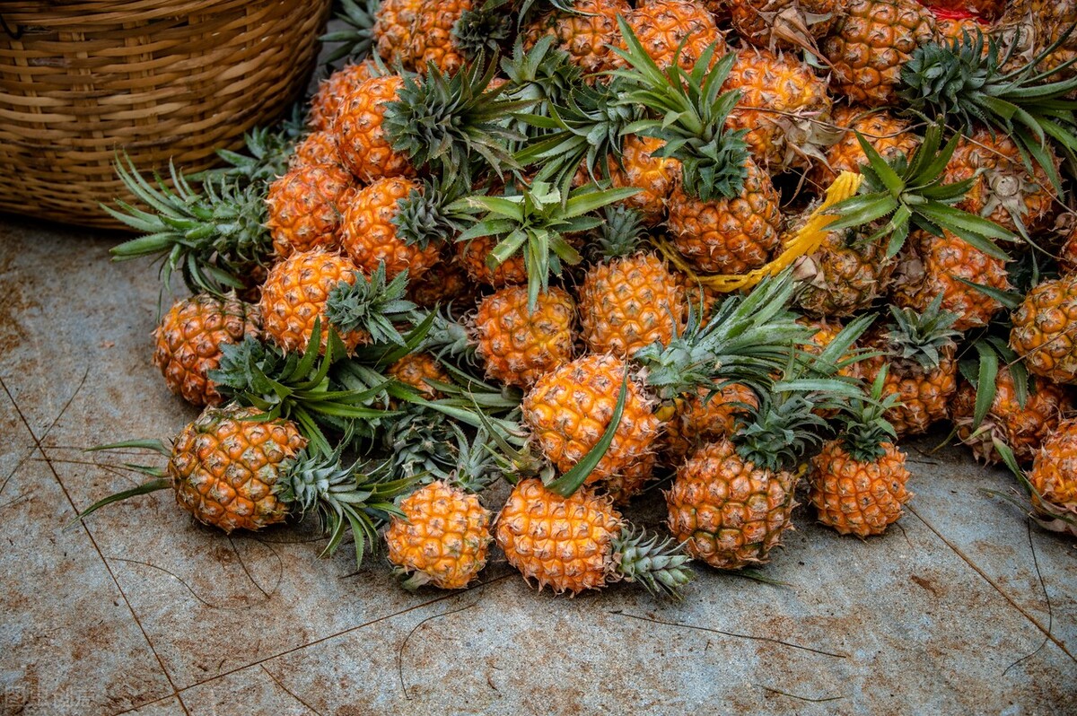 广东湛江一年四季水果名单,湛江特色水果介绍