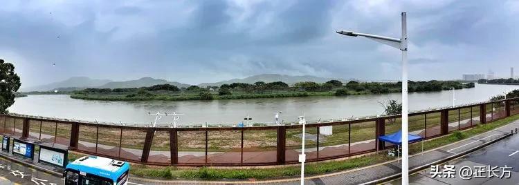 源源活水深圳河!(二)