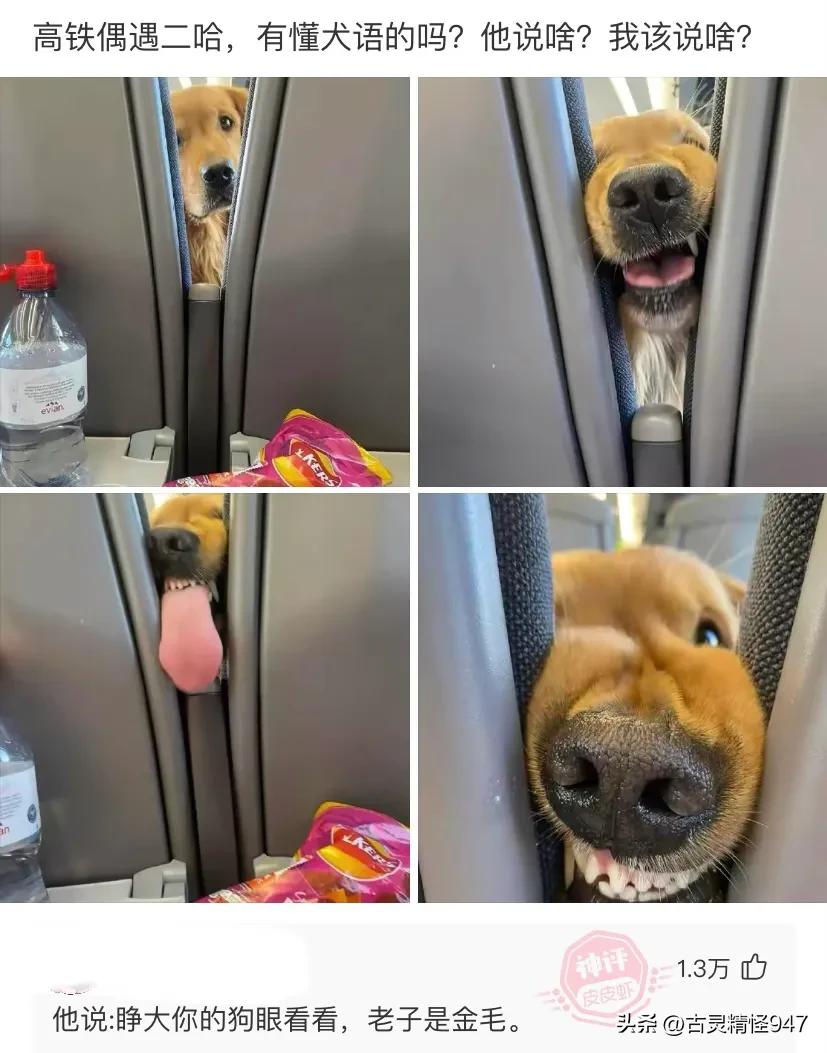 想去当兵政审没过,有一点痔疮都不能当兵吗