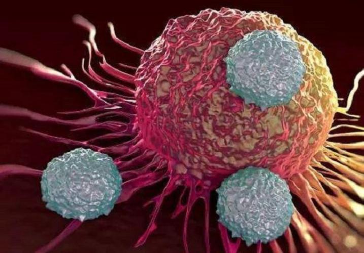 蠕虫杀死癌细胞,日本蠕虫癌细胞