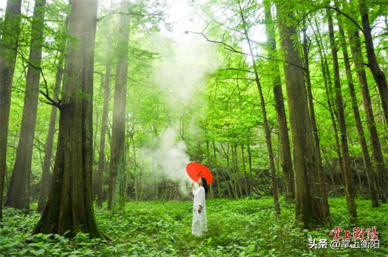 衡山康养,南岳衡山国际中医康养产业园