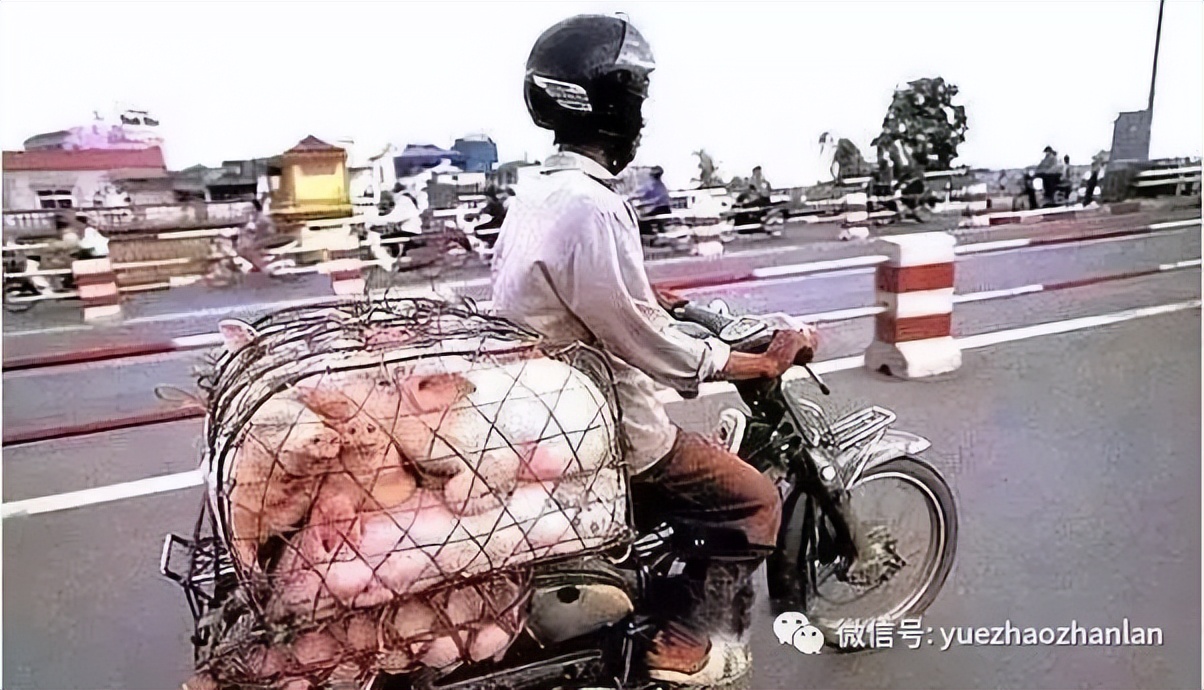 越南民俗建筑,越南民俗风情视频