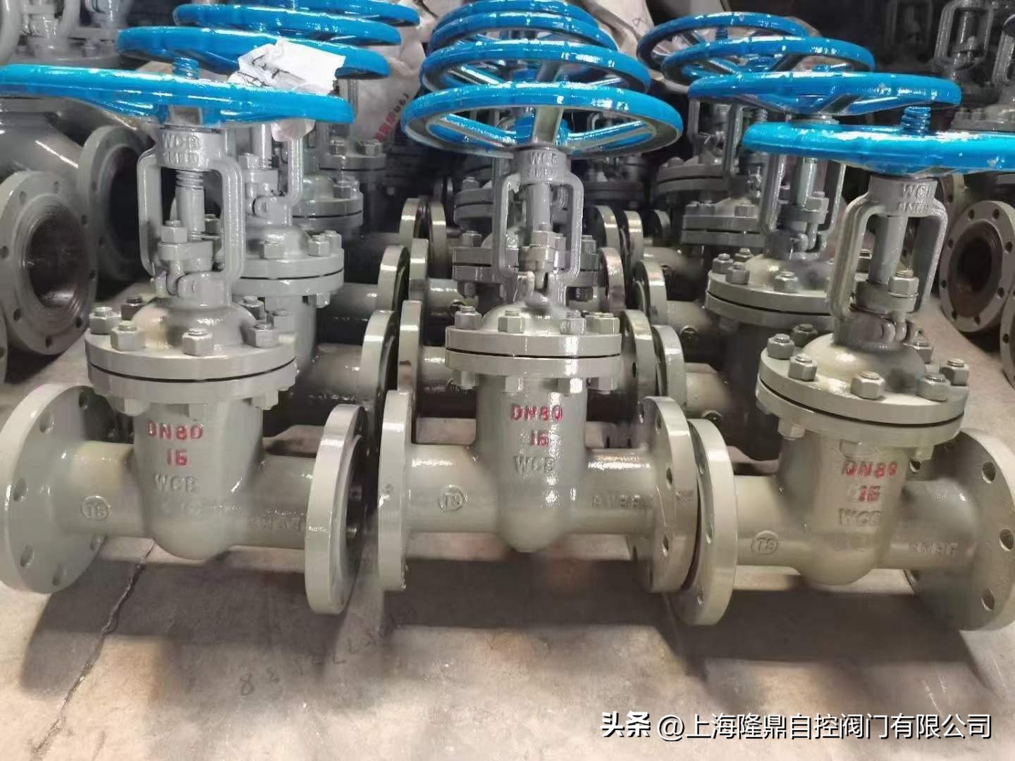 江苏中隆鼎控气动阀门参数,中隆鼎控气动调节阀推荐