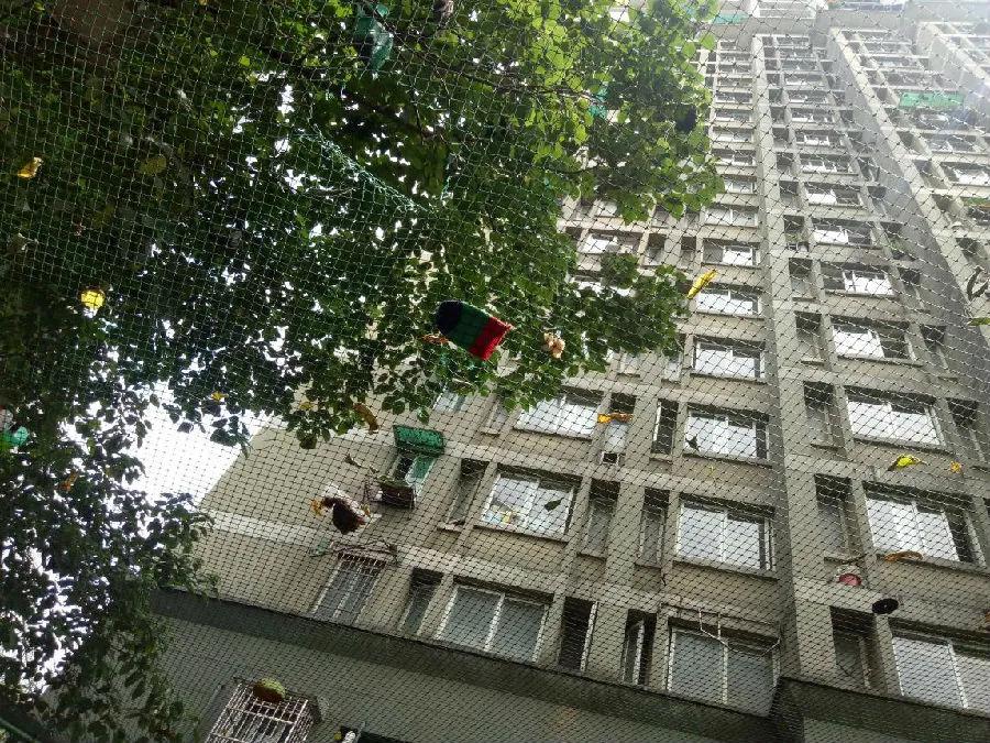 买房为什么不能一楼带院子,为什么说买房就是一个陷阱