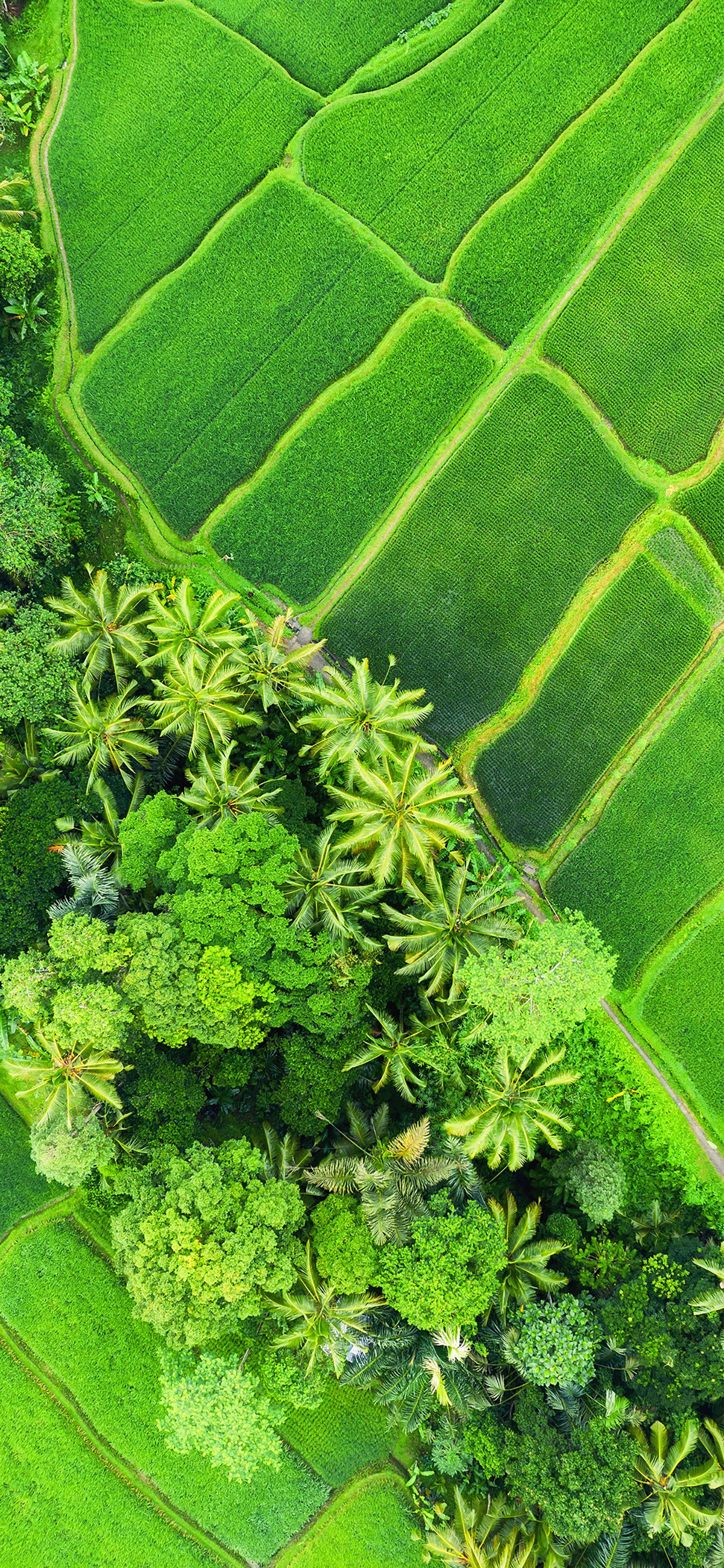 大海大自然风景壁纸,壁纸风景动态大自然