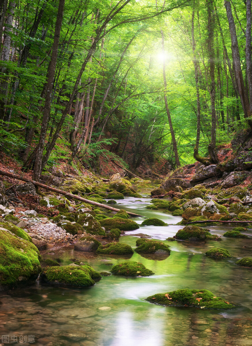 辛弃疾南歌子朗诵,辛弃疾南歌子行书
