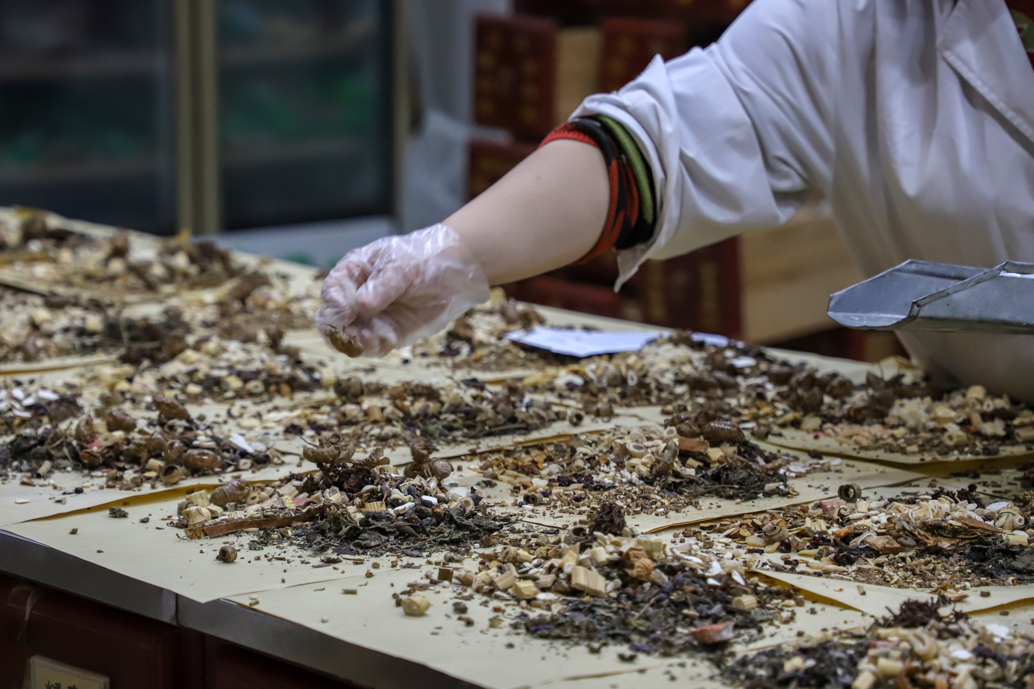 手术治疗肺癌有效吗,手术放化疗癌症治愈率