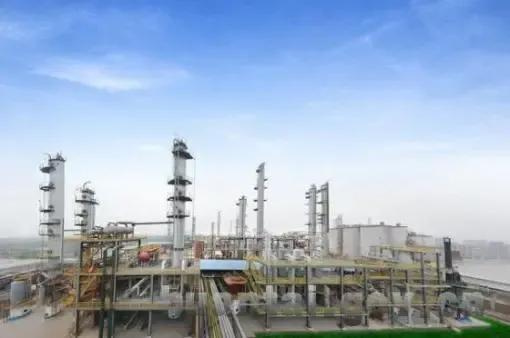 趁虚而入！金光集团强势入主博汇集团，创始人功成身退