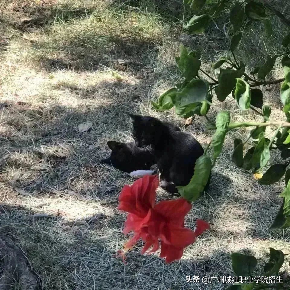 滴滴‼你的好友正在邀请你前往城建学院站‼