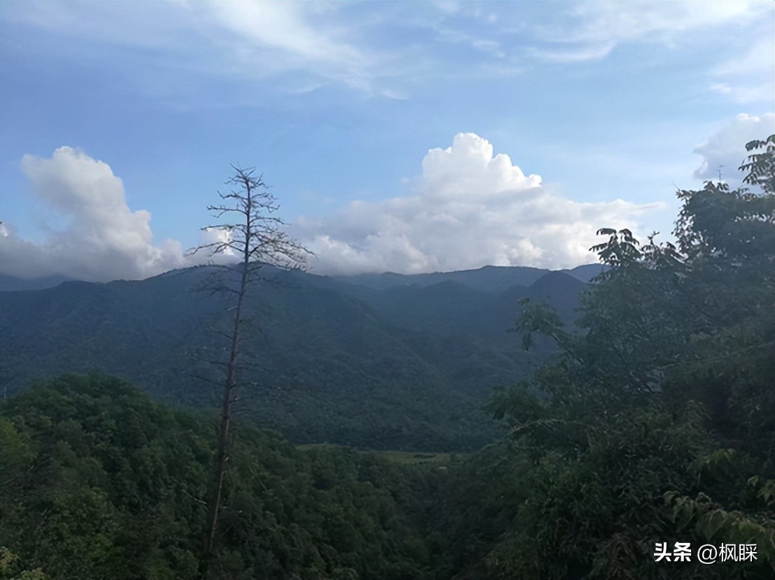 西安香格里拉消费价格,西安香格里拉在哪个区