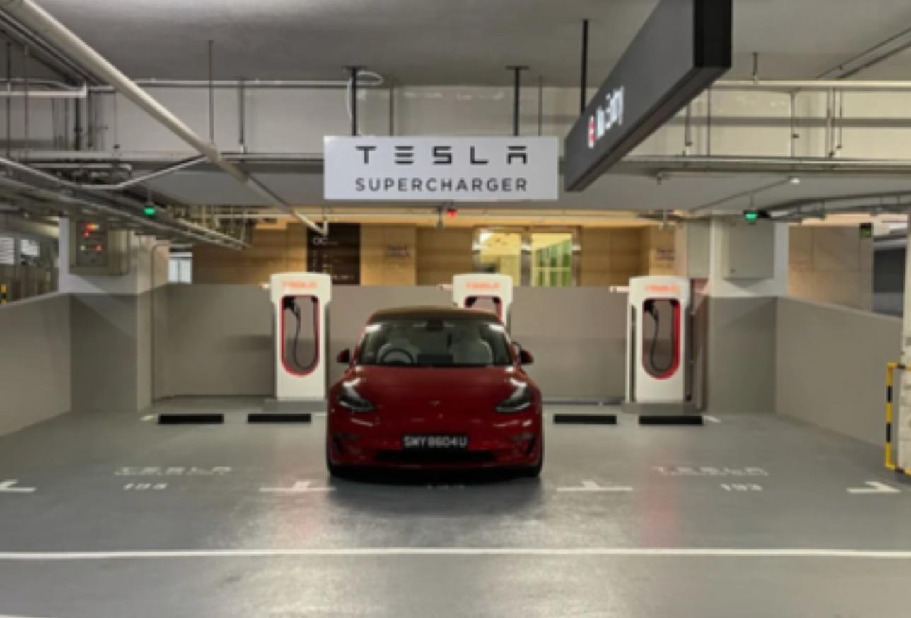 特斯拉国产modely苏州店,新加坡特斯拉modely价格