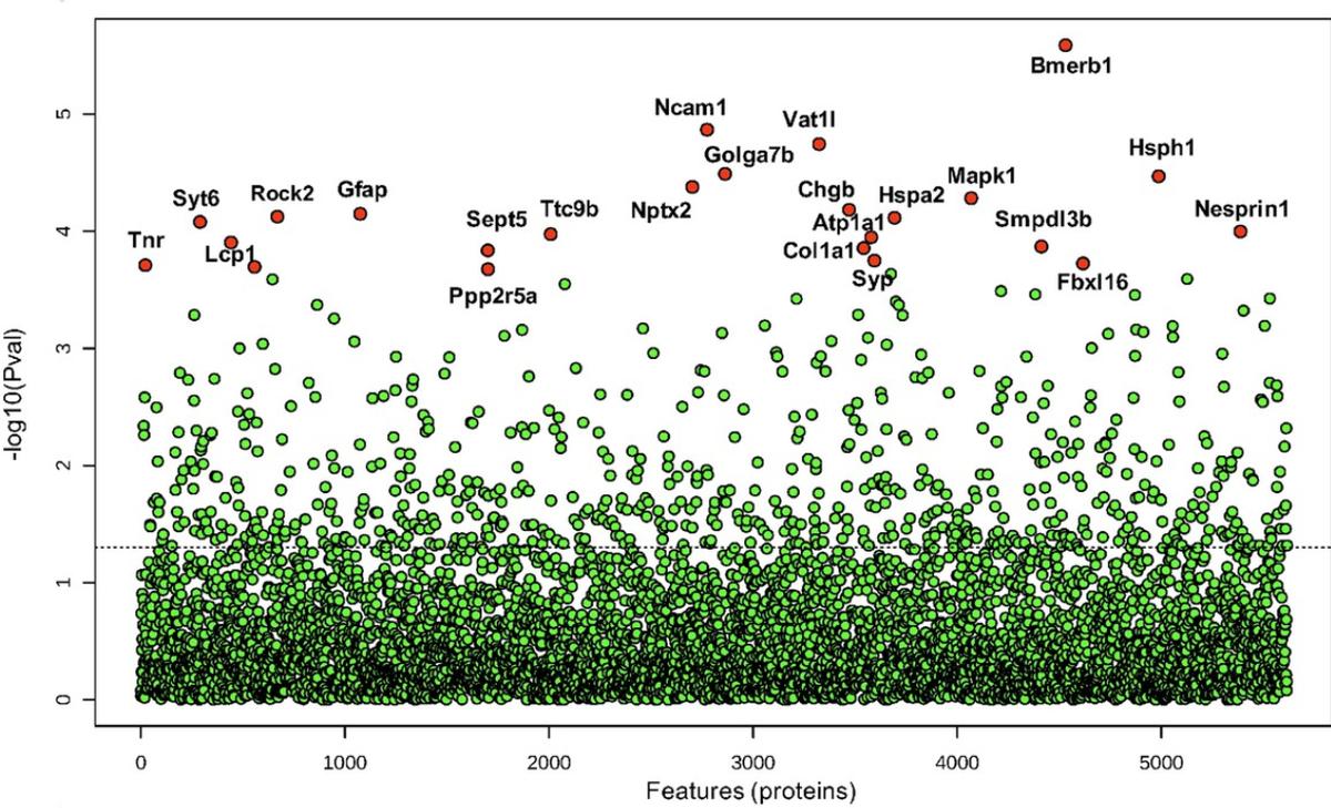 颞叶性癫痫吃什么药,颞叶癫痫药物治疗效果