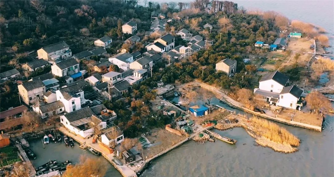 上海值得去的海岛,这7个上海周边的小众无人海岛