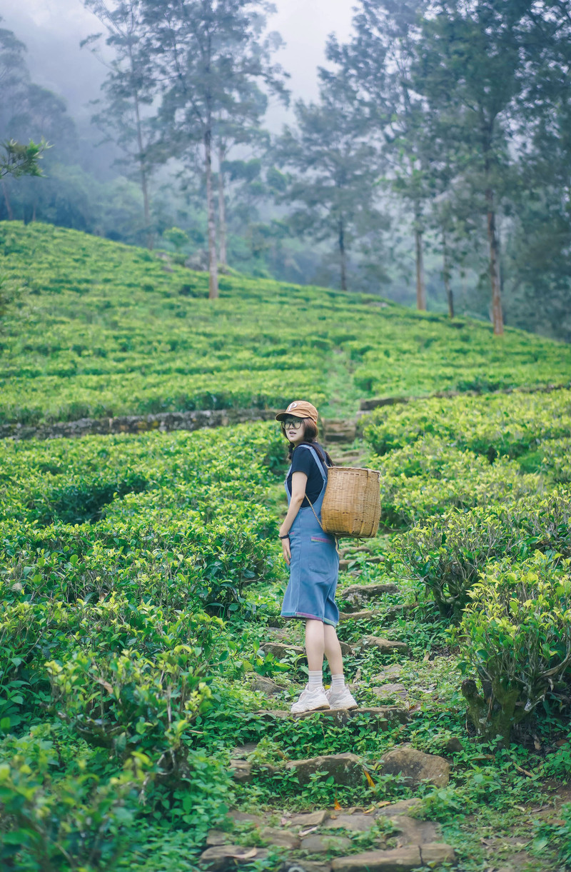 斯里兰卡旅游攻略必去景点,斯里兰卡旅游攻略最佳时间