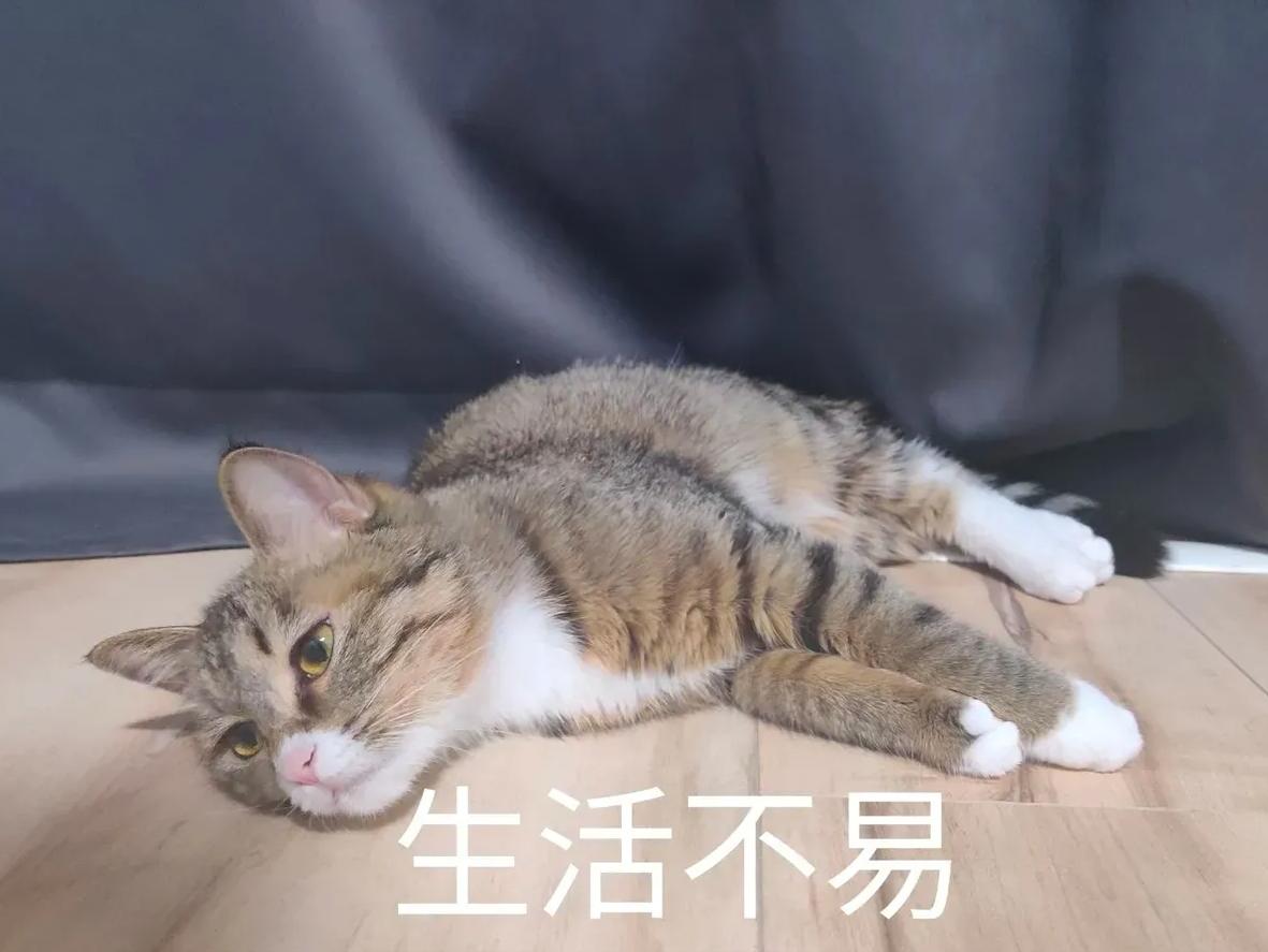 不想上班了摆摊,摆摊是年轻人最好的出路