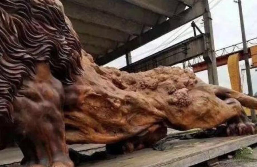 15米长东方雄狮根雕300万元拒卖,广西男子雕刻30吨楠木雄狮