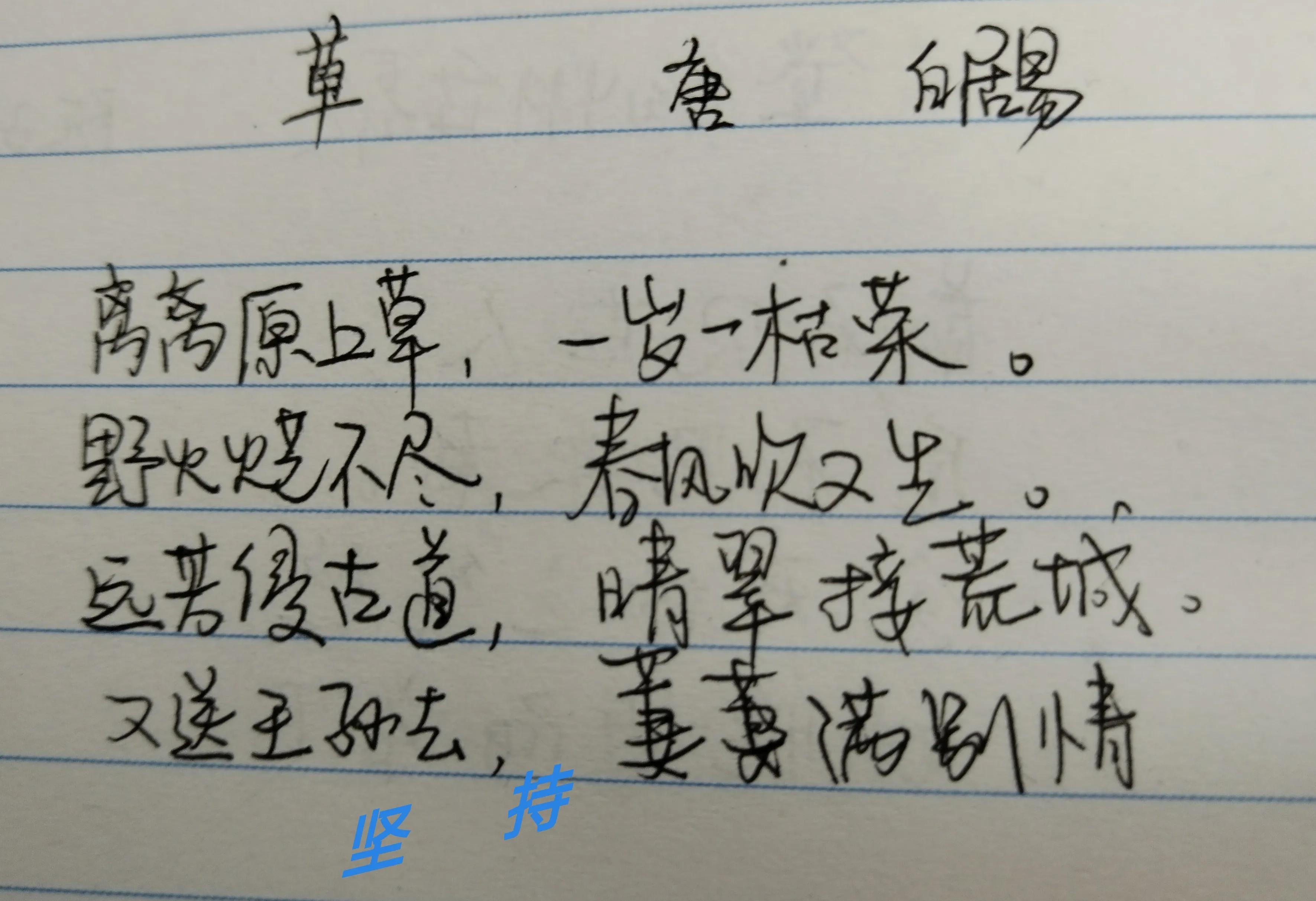 生命力顽强的小草视频,生命力顽强的小草